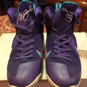 Lebron 9 hornets